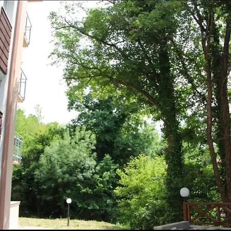 Perla Lux 아파트 *